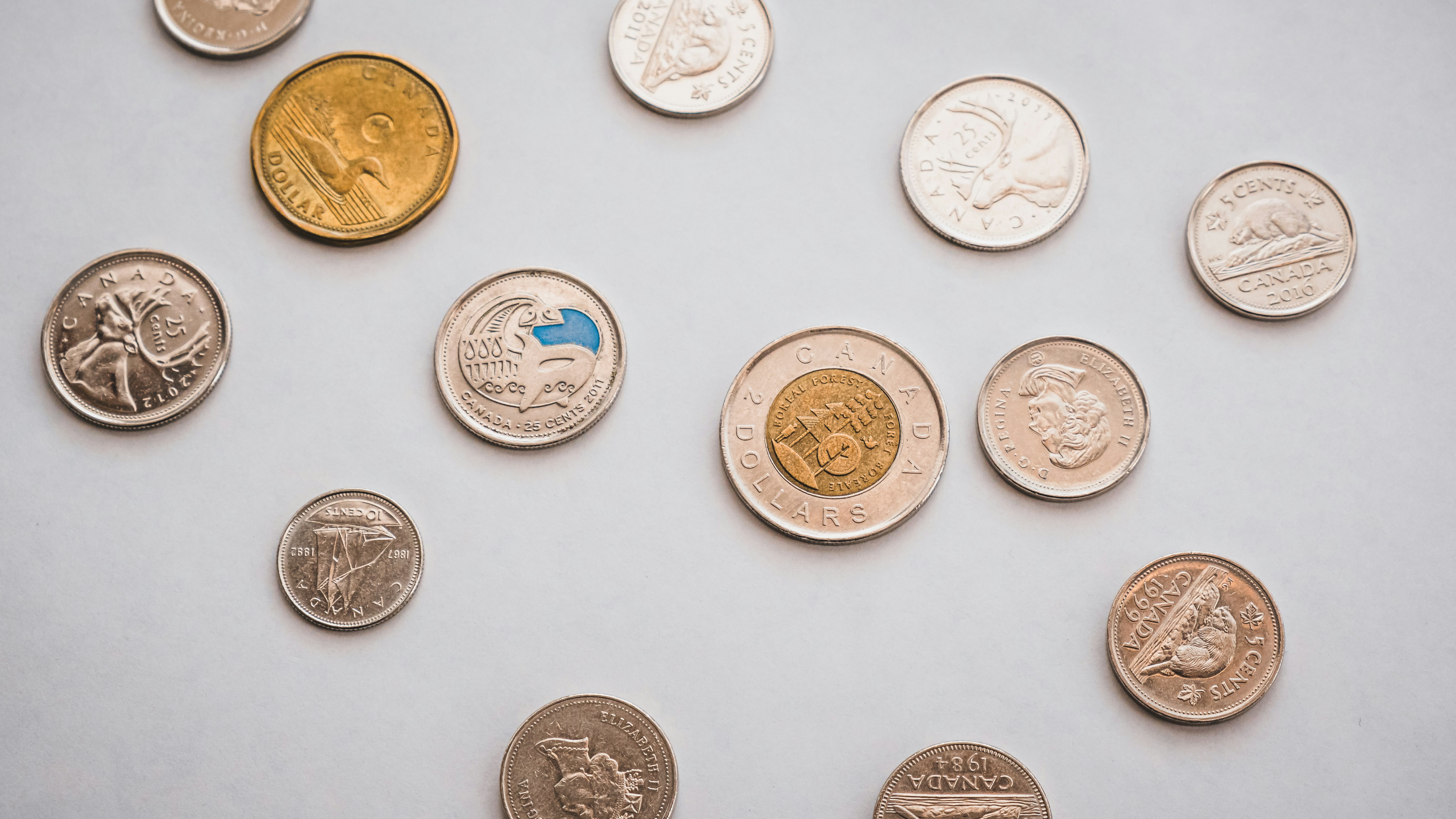 mimoi - Cash Flow Management for SMEs: Understanding Runway, Cash Burn, and Working Capital